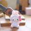 BH2 Sanrio My Melody Kuromi Pompompurin Plushie Túi búp bê sang trọng dễ thương Charm HB2
