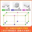 Hợp Kim Nhôm Khóa Kính Góc Phải Cố Định Kính Cố Định Kẹp Một Bộ Bể Cá Chống Cháy Nổ Tuần lộc