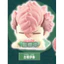 Hàng có sẵn Nhật Bản STASTO Capsule Toy Monster No. 8 Đồ trang trí đội ngủ 2 Bao Ke Zong Shiro BB0G
