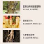 Hairline Mud ❈ ❈ ❈ 🍎 ❈ 🇾 ❈ ✷ Hairline Powder Filling Thấm nước và chống mồ hôi Hair Seam Cover