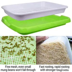Bean Sprout Thủy Canh Khay nảy mầm Tấm nảy mầm Cây giống Khay trồng tại nhà