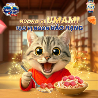 Pate Cho Mèo Silver Spoon thức ăn ướt cho mèo dạng sốt/dạng thạch gói 60g