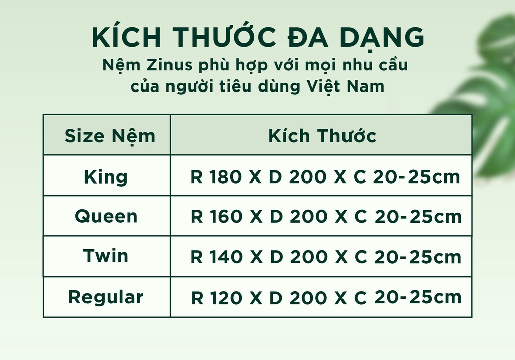 Mô tả Nệm Lò Xo Độc Lập Zinus Foam Mát Gel Mát Thế Hệ Mới Dày 20cm - 8in Spring Mattress - 3