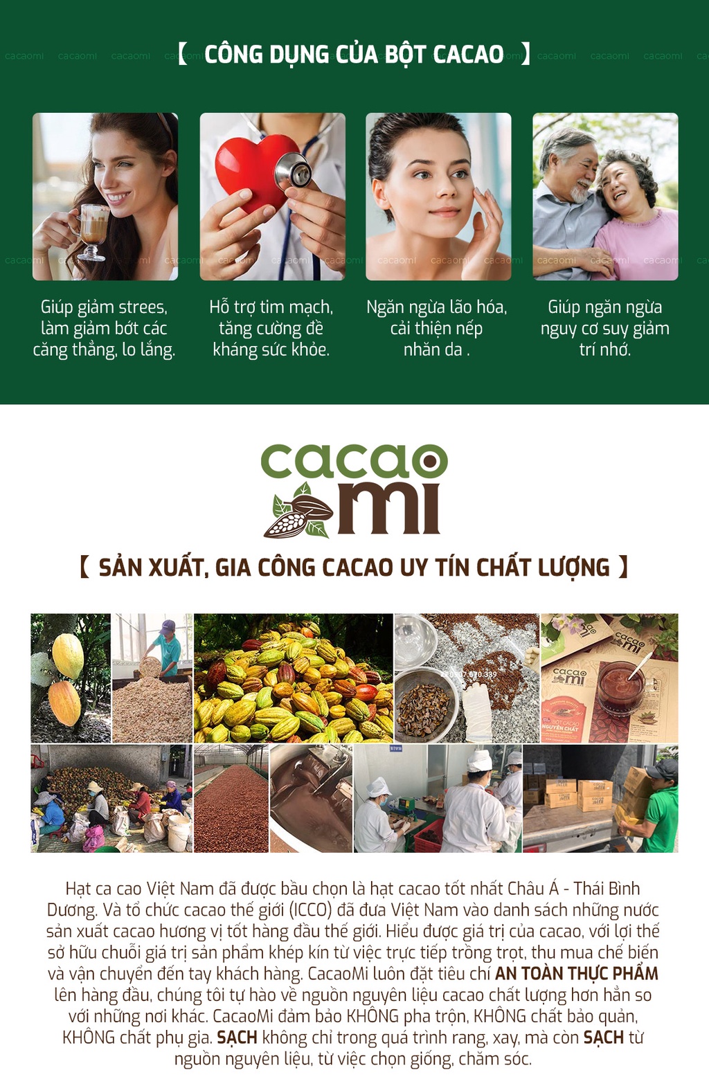 Mô tả Bột cacao thuần chay thơm ngon đậm ca cao nguyên chất mix 4 vị cà phê, sữa dừa, socola hũ tiện lợi - 2