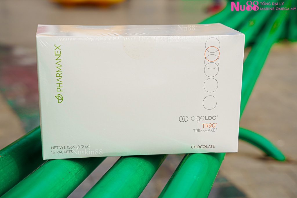 NU SKINニュースキン TR90 プロテインシェイク バニラ味2箱