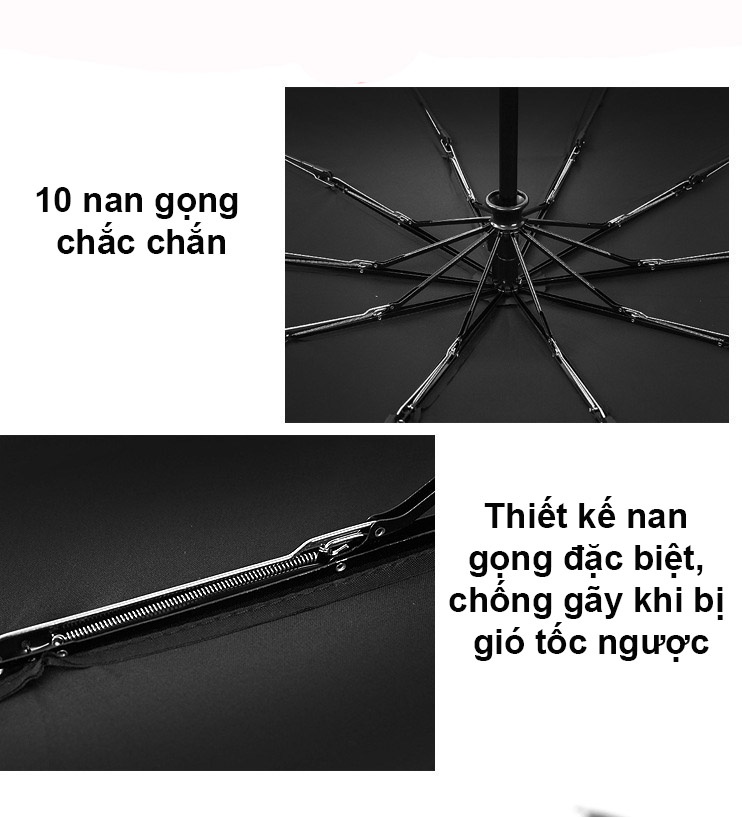 Mô tả Ô Dù Tự Động Đóng Mở 2 Chiều 10 Nan Chống Tia UV, Dù Che Mưa Nắng, Ô Cầm Tay Gấp Gọn Tiện Lợi Chính Hãng Amalife - 4