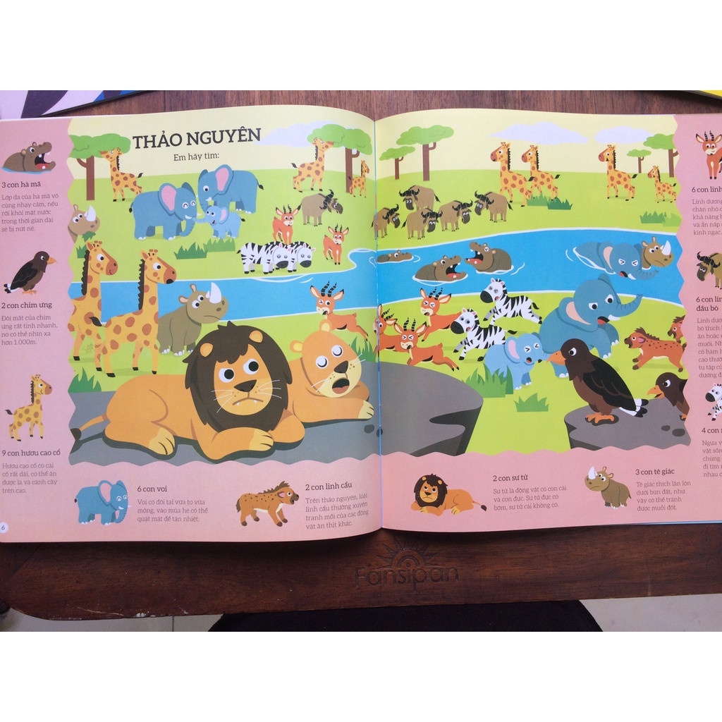 Mô tả Sách - Tìm Kiếm Thông Minh Phát Triển Khả Năng Tập Trung [Cho bé 2-6 tuổi] - 2