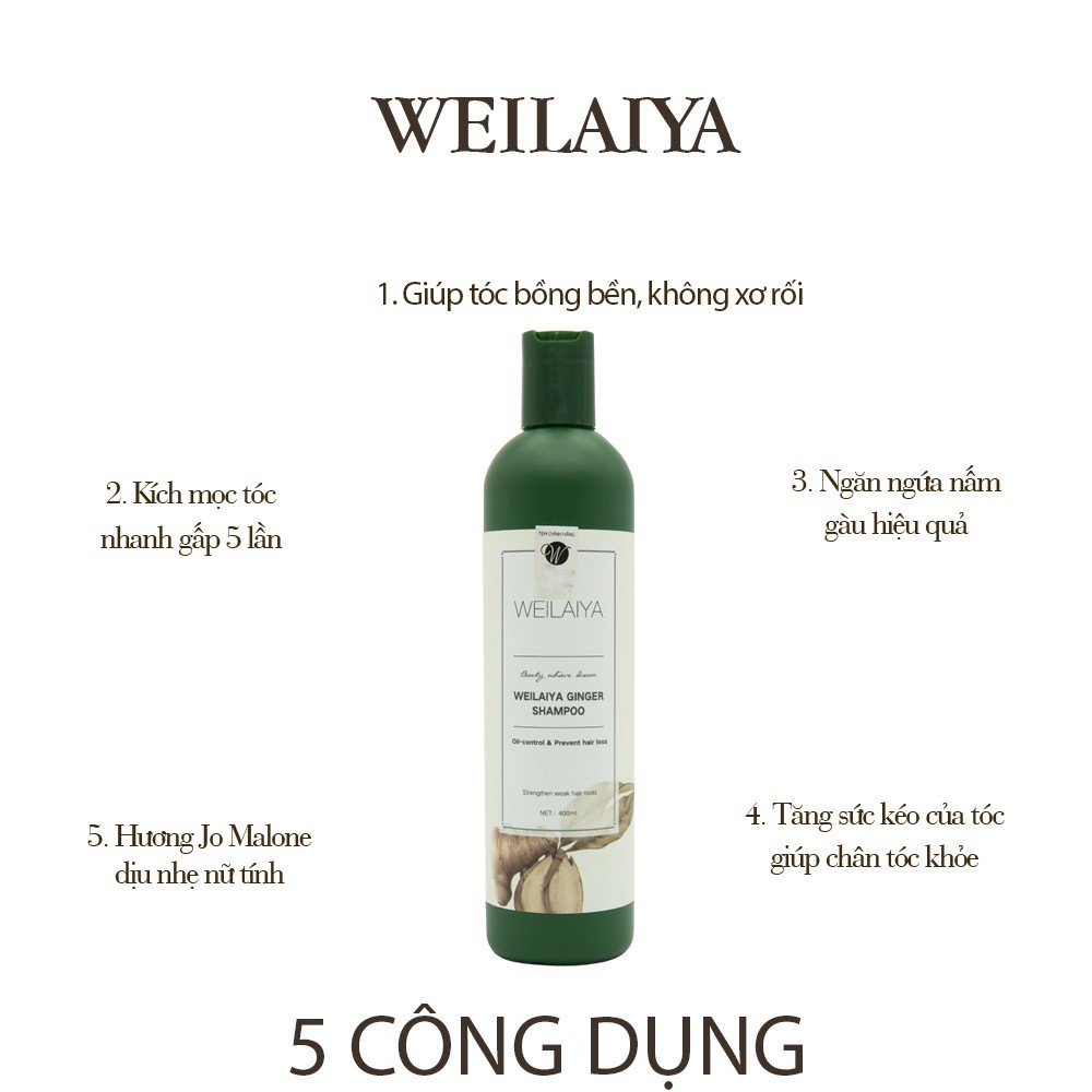 Mô tả Dầu gội gừng trắng thảo dược Weilaiya Ginger Shampoo ngăn rụng và kích thích mọc tóc 400ml - 3