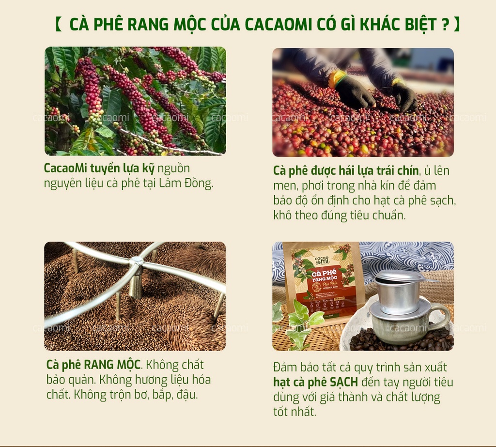 Mô tả Cà phê nguyên chất rang mộc Cacao Mi blend Robusta Arabica đậm đà cafe pha phin thơm ngon 15g-250g - 2