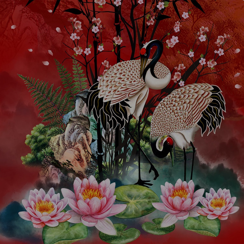 Đầm trung niên dáng dài