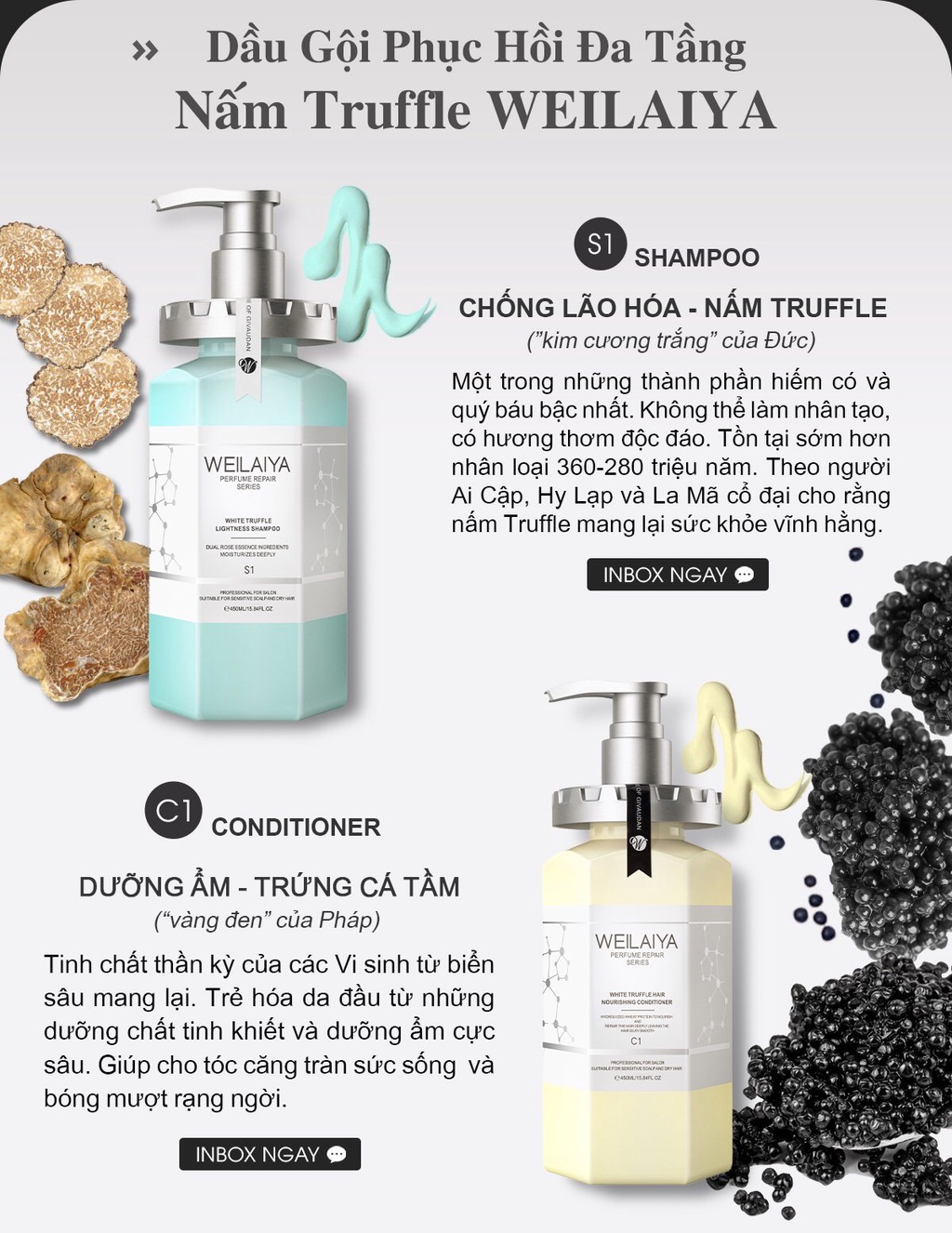Mô tả Cặp dầu gội xả phục hồi tóc Weilaiya chiết xuất nấm Truffle chống lão hóa da đầu 450ml/chai - 2