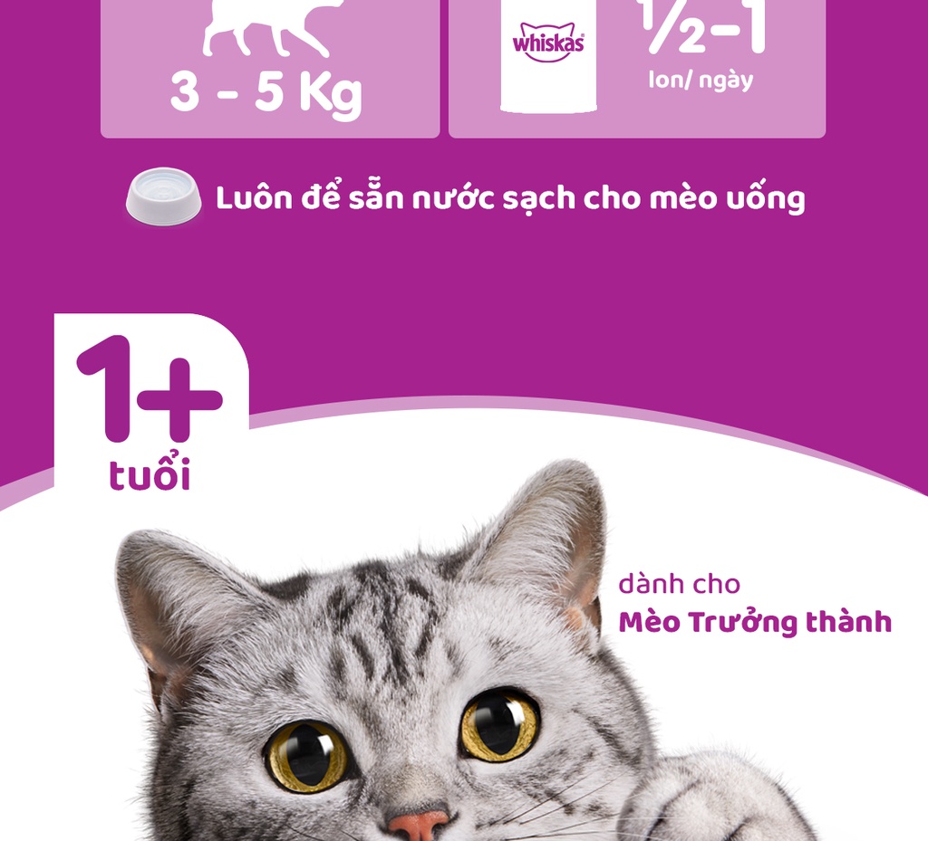 Mô tả WHISKAS Thức Ăn Cho Mèo Trưởng Thành Dạng Pate 400G (dạng lon) - 6