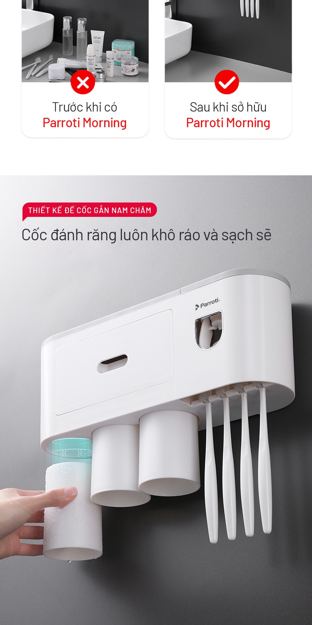 Kích thước bộ Parroti Morning