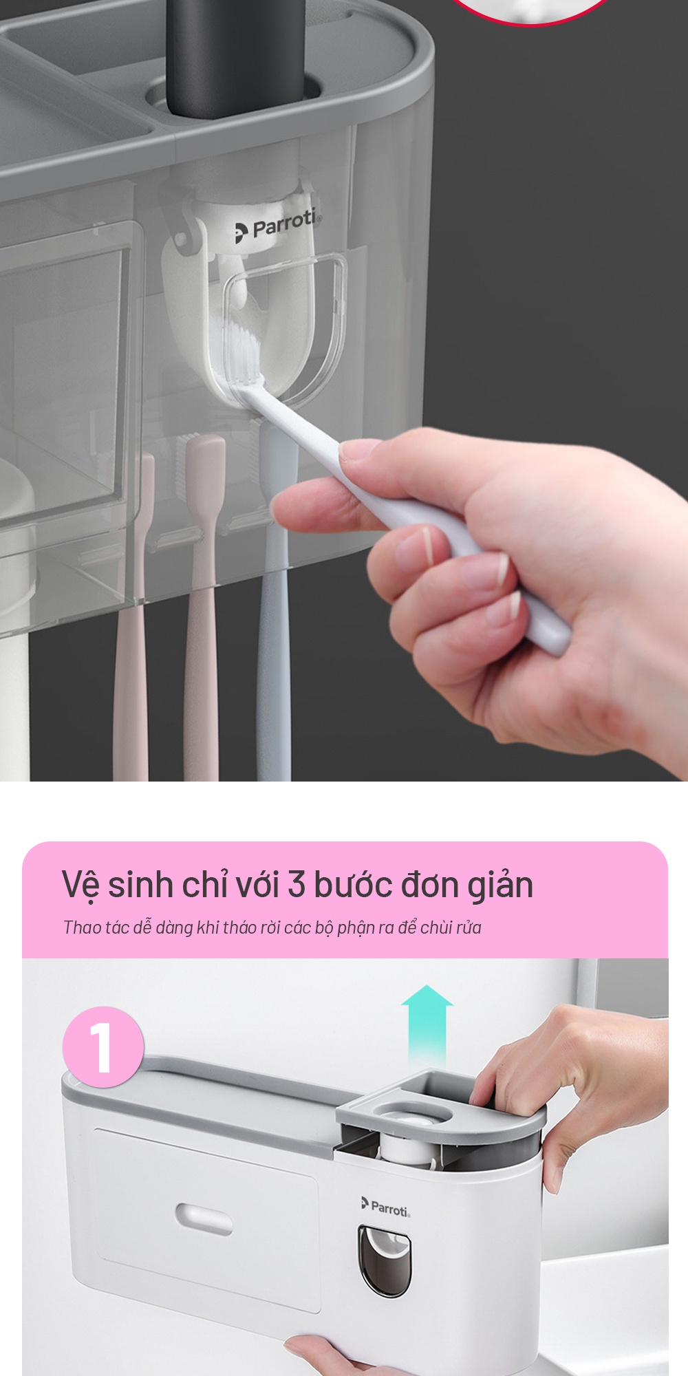 Thiết kế hiện đại Parroti