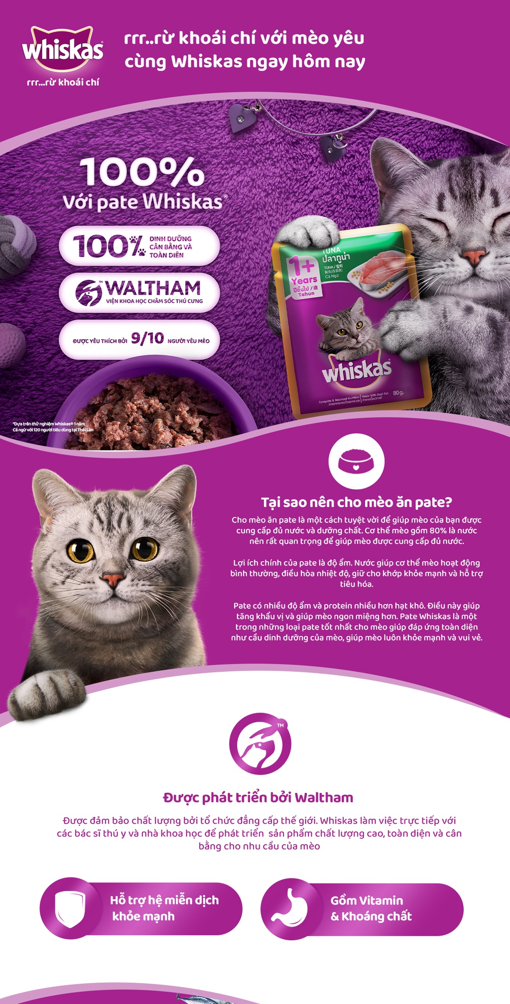 Mô tả Thức Ăn Cho Mèo Lớn Dạng Sốt WHISKAS - 80g (12 gói) - Dinh Dưỡng Hoàn Thiện & Cân Bằng Cho Mèo Từ 1 Tuổi - 1
