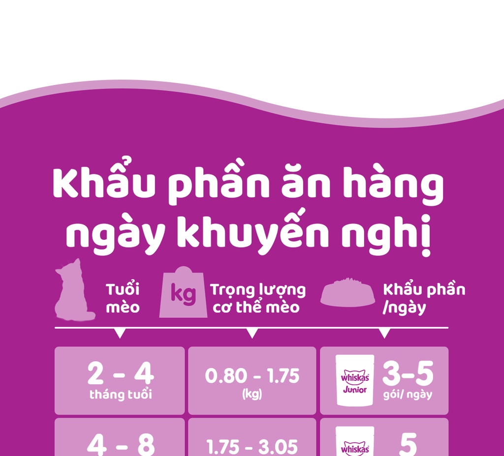 Mô tả Thức ăn cho mèo con dạng sốt WHISKAS - gói 80g, 12 gói - 5