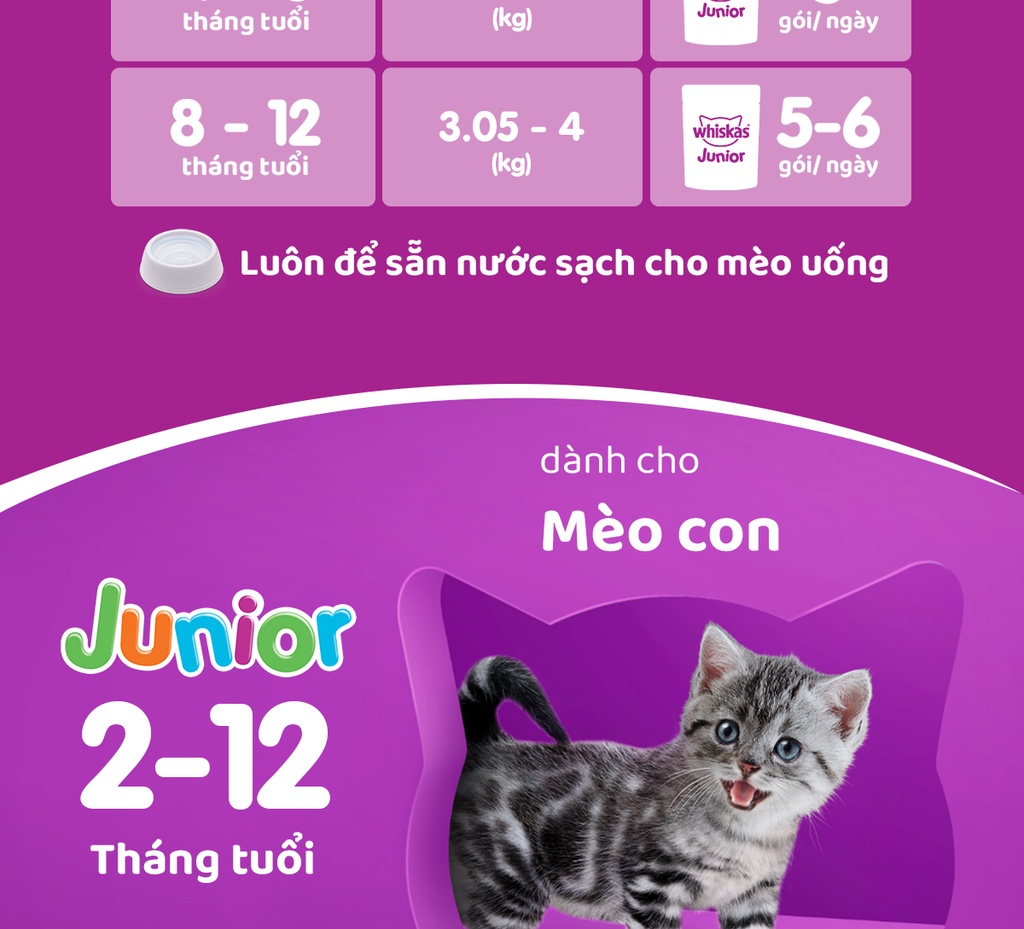 Mô tả Thức ăn cho mèo con dạng sốt WHISKAS - gói 80g, 12 gói - 6