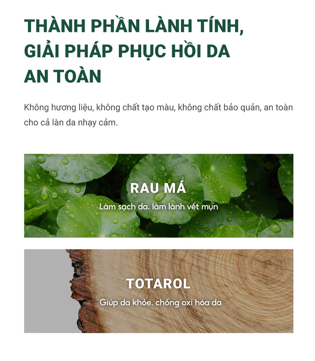 Mô tả Serum rau má giảm mụn mờ thâm Caryophy Portulaca Ampoule (10ml 30ml) - 6