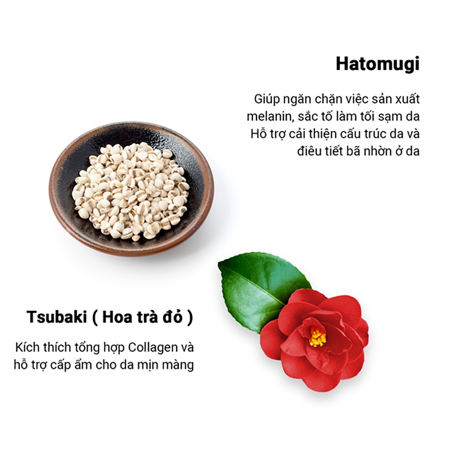 Mô tả Viên Uống Trắng Da, Ngăn Ngừa Lão Hóa, Sạm Nám, Tàn Nhang Giúp Da Đều Màu Từ Thiên Nhiên Shiro Hada Genki Fami Nhật Bản - 10