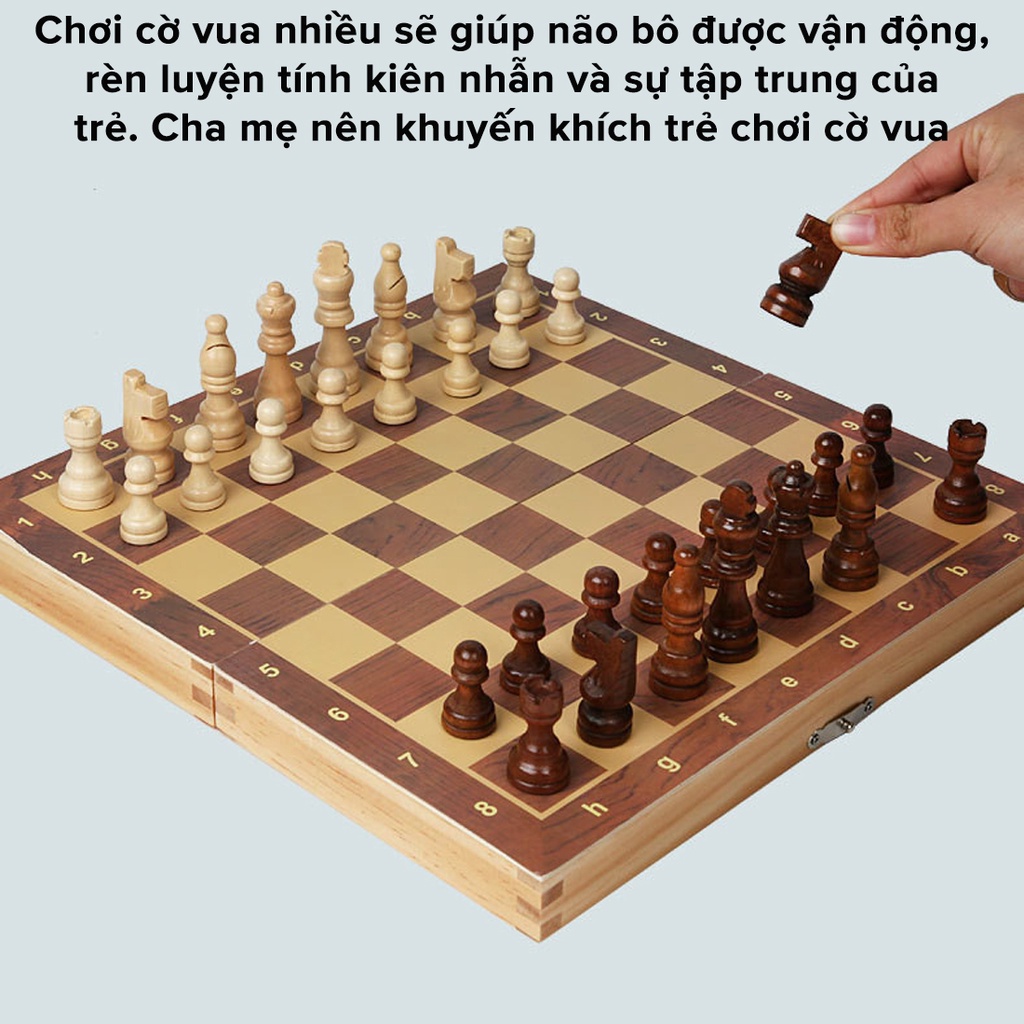 Mô tả Bộ Cờ Vua Nam Châm Bằng Gỗ Size Nhỏ 29*29*2.5cm Cao Cấp, An Toàn Chính Hãng Amalife - 7