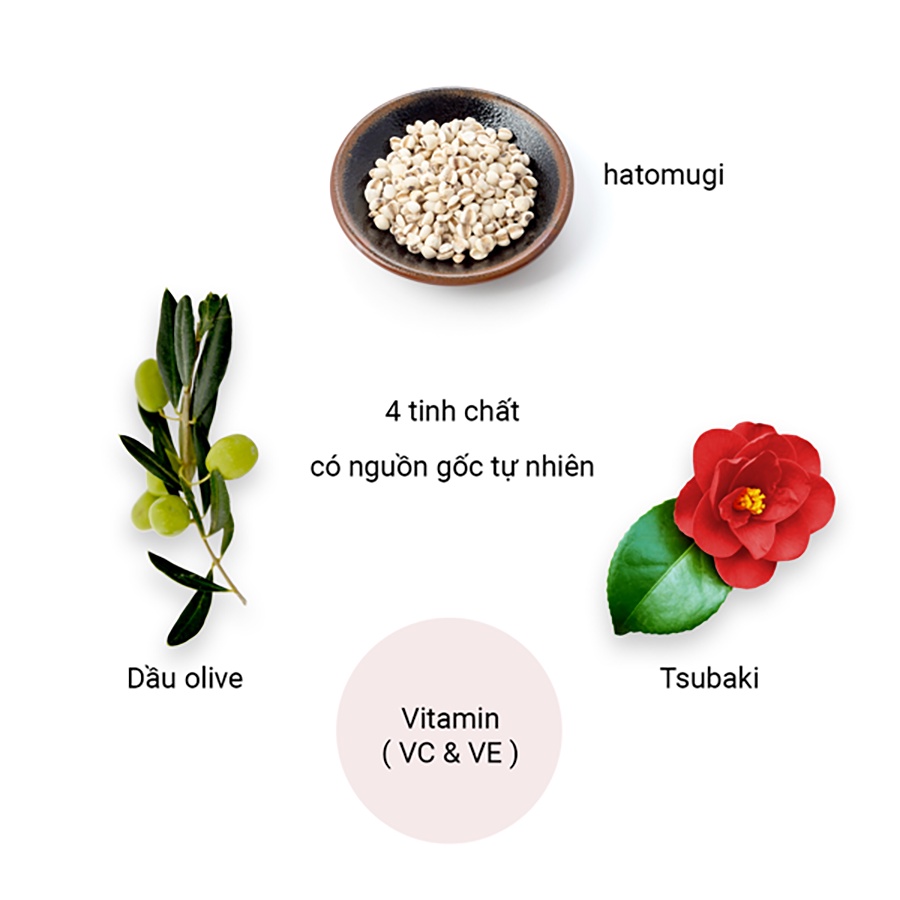 Mô tả Viên Uống Trắng Da, Ngăn Ngừa Lão Hóa, Sạm Nám, Tàn Nhang Giúp Da Đều Màu Từ Thiên Nhiên Shiro Hada Genki Fami Nhật Bản - 1