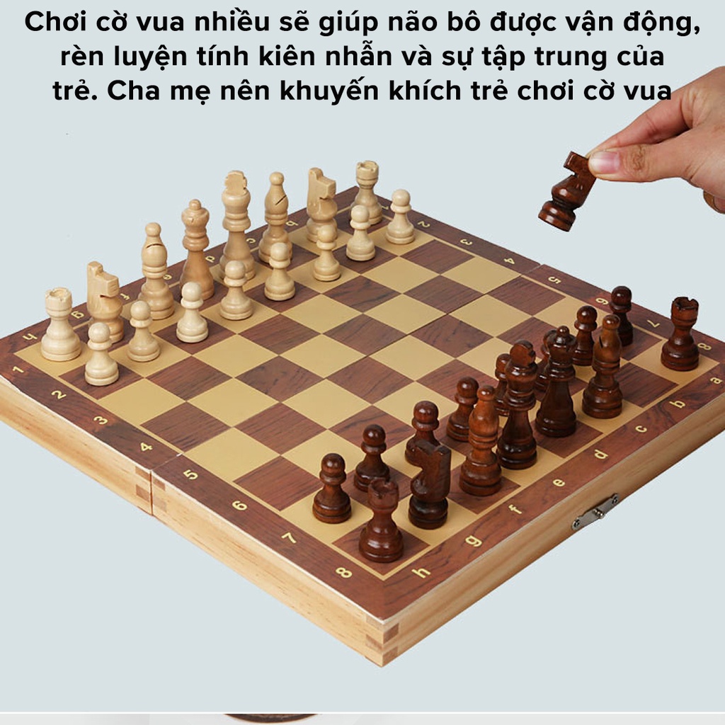 Mô tả Cờ Vua Gỗ Nam Châm Cao Cấp - Bộ Cờ Vua Cao Cấp Bằng Gỗ Thông Tự Nhiên Có Gắn Nam Châm Chính Hãng Amalife - 5