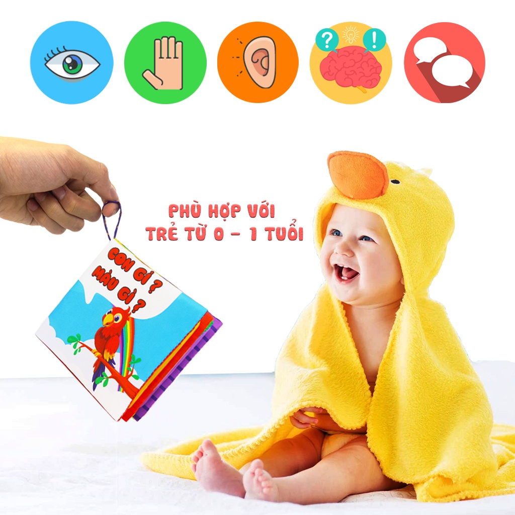 Sách vải song ngữ PiPoVietnam