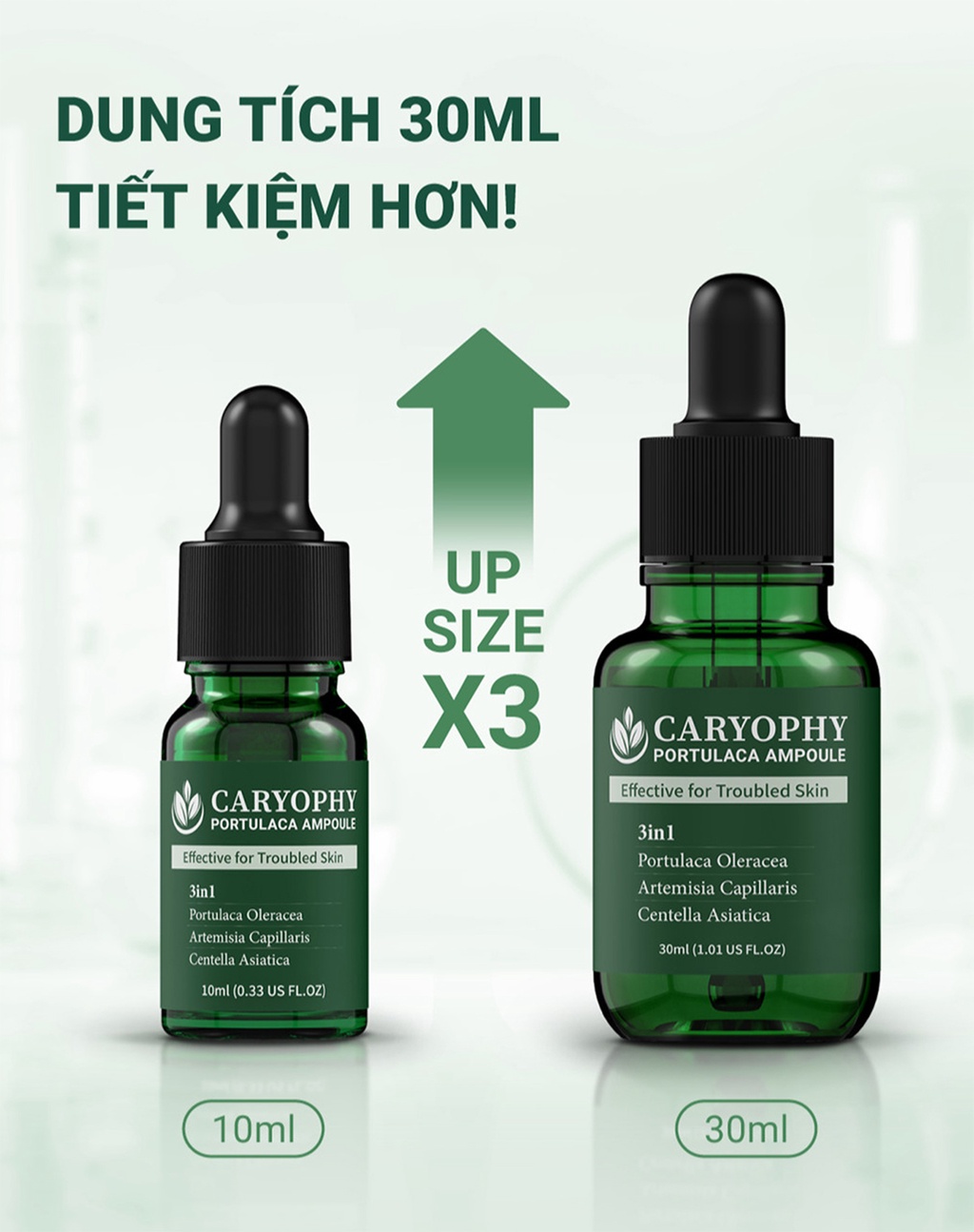 Mô tả Serum rau má giảm mụn mờ thâm Caryophy Portulaca Ampoule (10ml 30ml) - 2