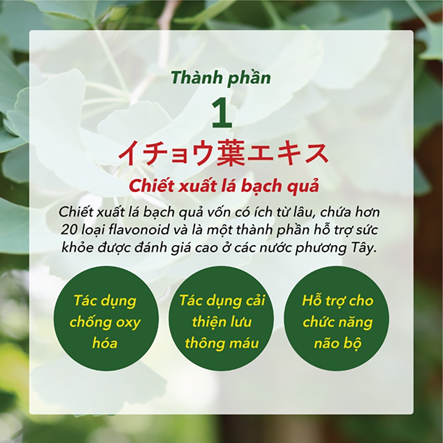 Mô tả Combo Viên Uống Bổ Não, Ngừa Đột Quỵ Tai Biến, Giúp Ngủ Ngon Nattokinase 3000FU Natto Ichou Genki Fami Nhật Bản - 6