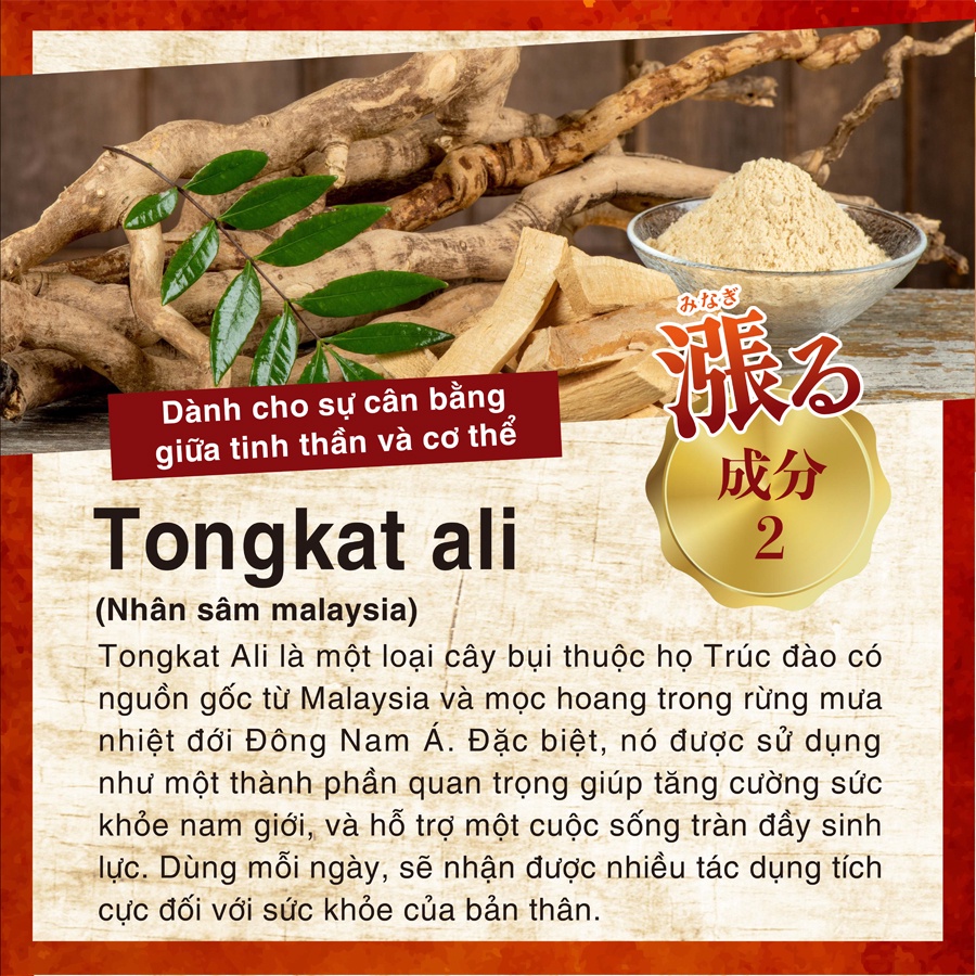 Mô tả Viên Uống chiết Xuất Hàu Biển, Nhân Sâm, Kẽm, Baba, Bổ Thận, Tăng Cường Sinh Lý Nam Supo Maca Genki Fami Nhật Bản - 6