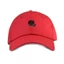 Thoải mái Mới Hàng trăm Bố Mũ Hoa Hồng Thêu Snapback Mũ Bóng Chày