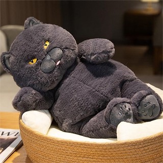 Mèo Nhồi Bông Mềm Mại 30 / 45cm Màu Xám / Xanh Dễ Thương