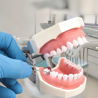 36 Chiếc Nha Khoa Kim Loại Ma Trận Yên Đường Viền Ma Trận Đa Năng Bộ Đồng Bằng Vòng Kẹp Lò Xo Kẹp