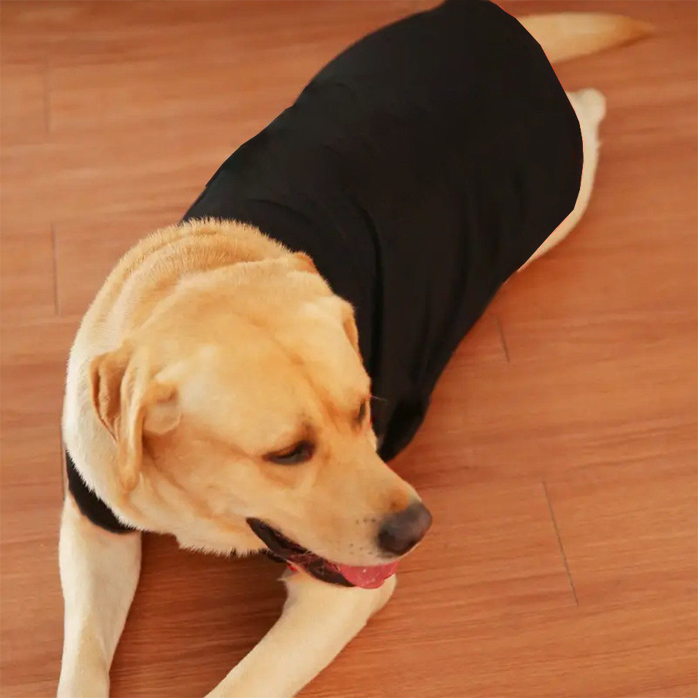 ✨ Hàng Mới Về ✨ 3xl-6xl Lớn Chó Mèo Tank Top Ba Màu Cổ Điển Sọc Thiết Kế Thú Cưng Hợp Thời Trang Quần Áo