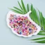 Kích Thước Hỗn Hợp Hạt Ngọc Trai Acrylic Tròn Nhỏ Thủ Công Hạt Rời Ngọc Trai Để Trang Sức Làm DIY Thủ Công Dây Chuyền Vòng Tay 30g / gói