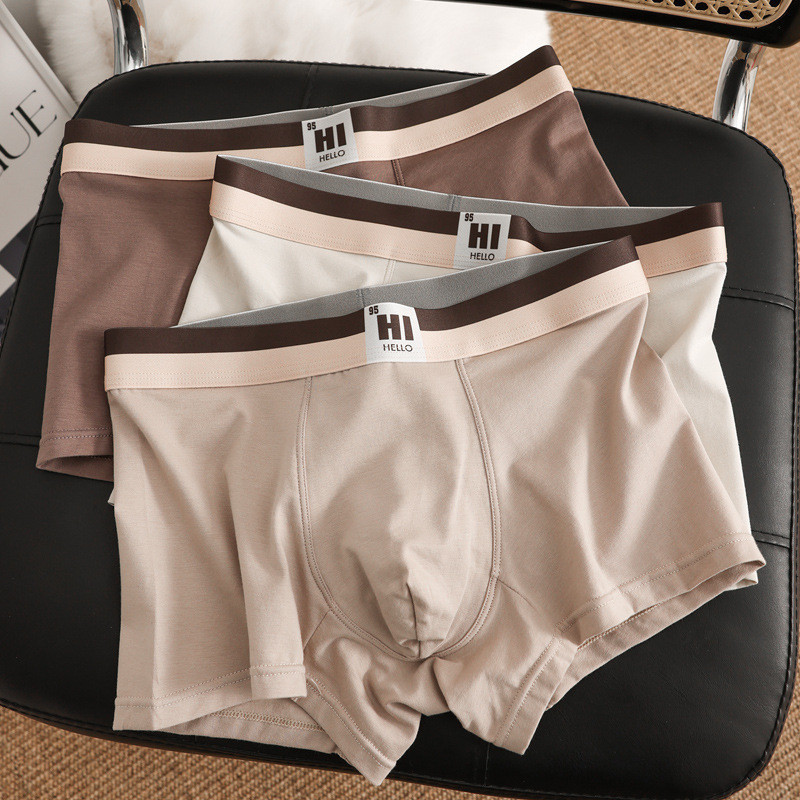 Mô tả Ecmn Nam Morandi Màu Quần Short Boxers Kháng Khuẩn Đáy Quần Lót Thoáng Khí Mềm Mại Và Thân Thiện Với Da Liền Mạch Plus Kích Thước Quần Lót - 1