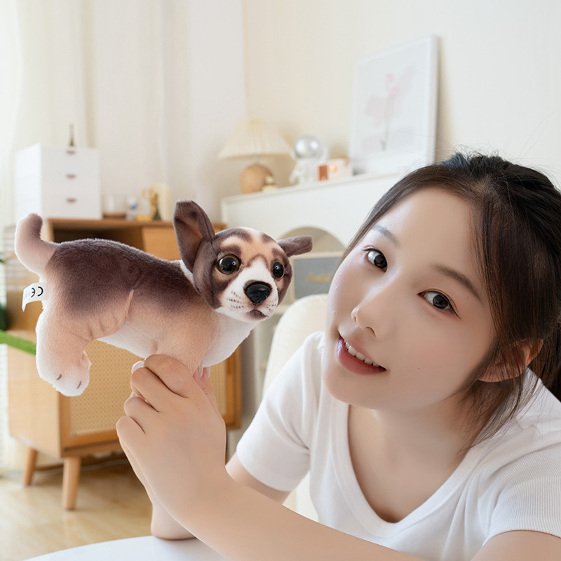 Chó sang trọng thú vị Thiết kế Chihuahua và Husky dễ thương hoàn hảo cho người sưu tập