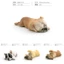 Mô hình tĩnh sành điệu của Bulldog Pháp và Shiba Inu hoàn hảo cho mọi trang trí bàn làm việc