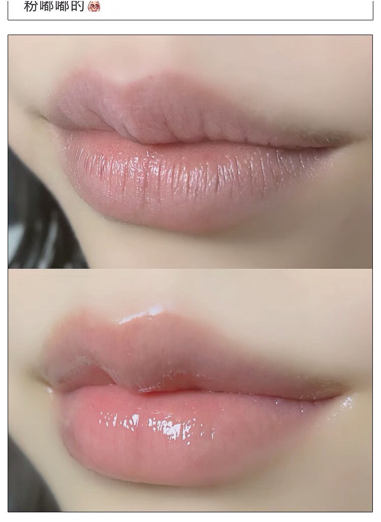 Korean JOJOBA Lip Balm Jojoba Oil Royal Jelly Hydrating Moisturizing