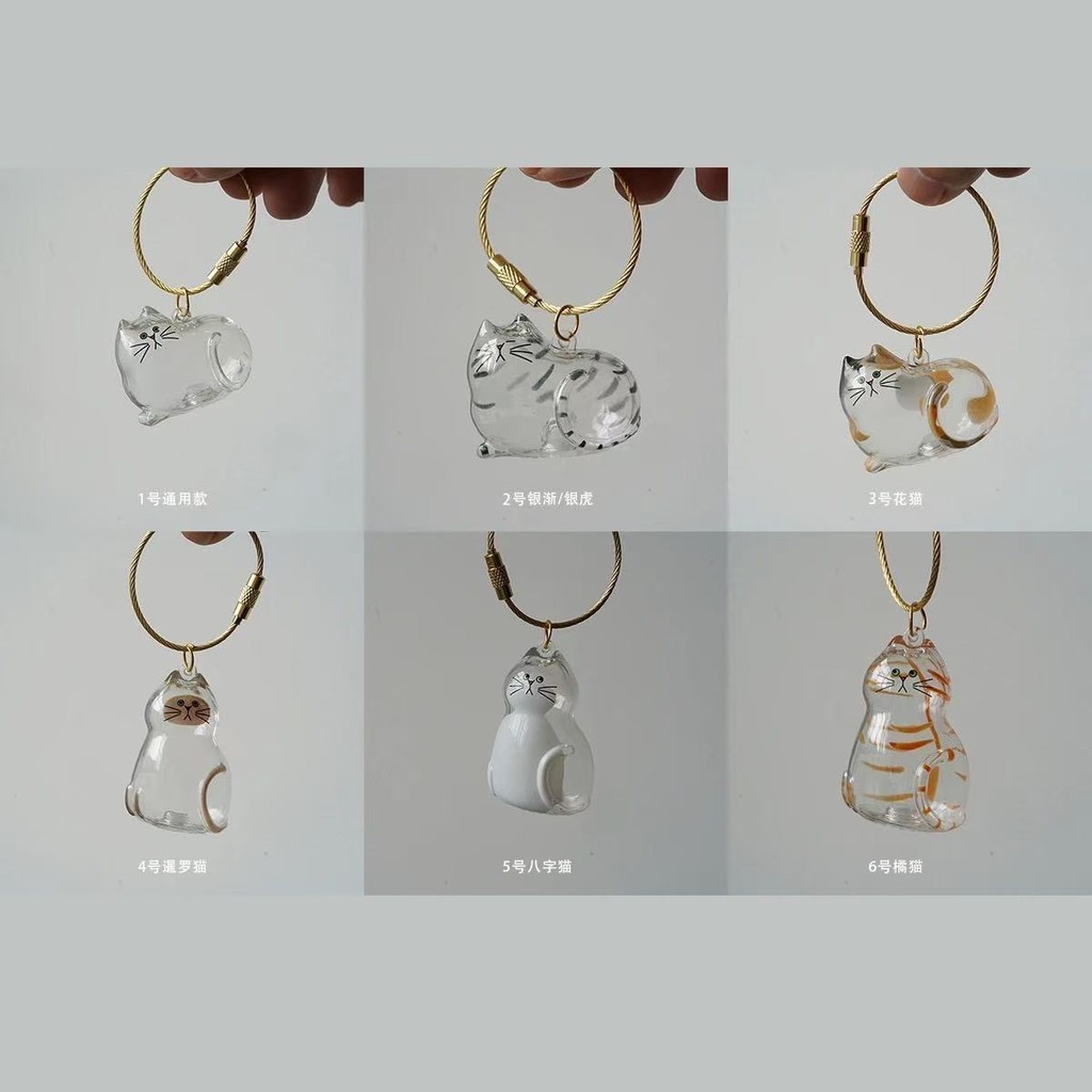 Móc Khóa Trong Suốt Đựng Lông Mèo Hộp Kỷ Niệm Dạng Nón Kẹo Quà Tặng Đựng Lông Thú Cưng