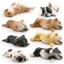 Mô hình tĩnh sành điệu của Bulldog Pháp và Shiba Inu hoàn hảo cho mọi trang trí bàn làm việc