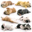 Mô hình tĩnh sành điệu của Bulldog Pháp và Shiba Inu hoàn hảo cho mọi trang trí bàn làm việc