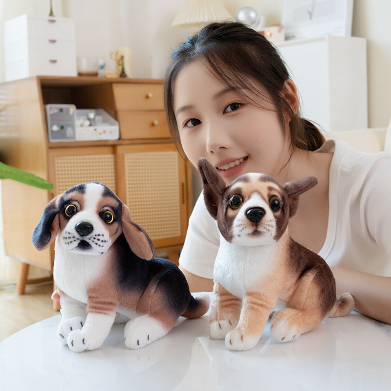 Chó sang trọng thú vị Thiết kế Chihuahua và Husky dễ thương hoàn hảo cho người sưu tập