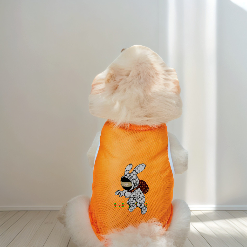 Áo Vest thú cưng có họa tiết hoạt hình, có thể giặt được, quần áo thú cưng không tay thoáng khí thoải mái cho mùa xuân hè, thích hợp cho chó nhỏ và vừa mèo