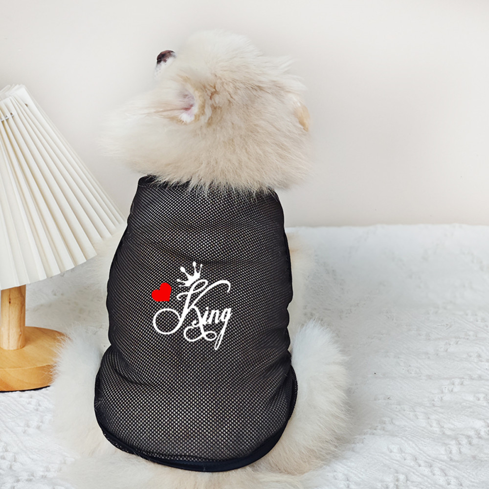 ✨ Hàng Mới Về ✨ S-2XL King and Queen Cat / Dog Lưới thoáng khí Áo cho chó nhỏ