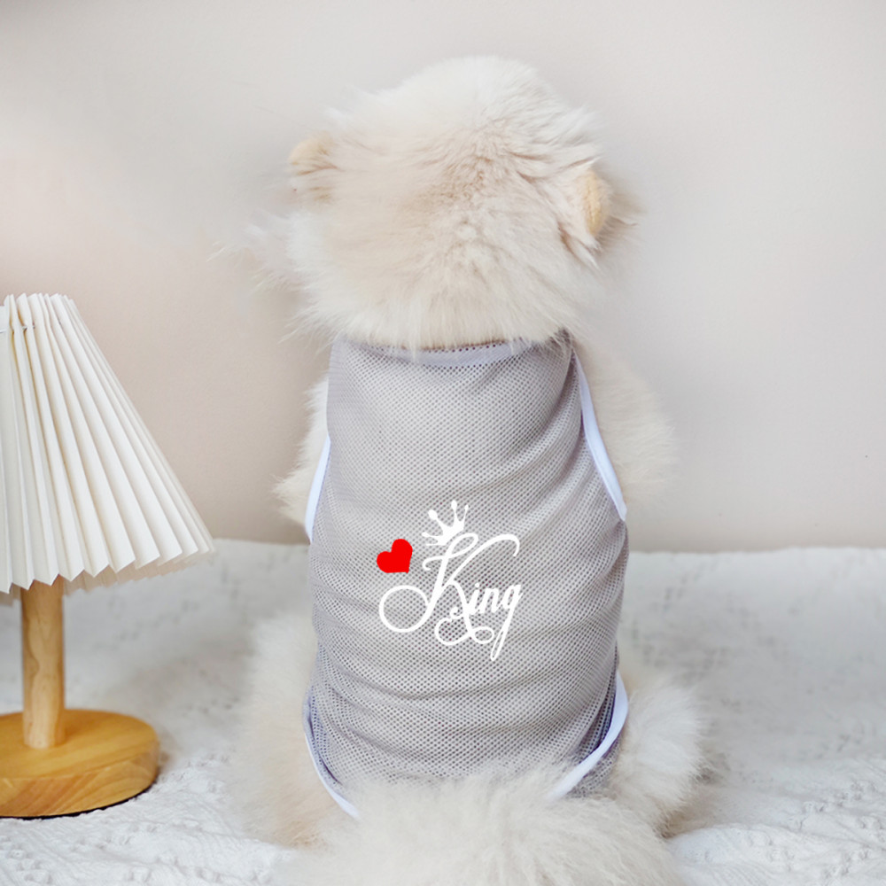 ✨ Hàng Mới Về ✨ S-2XL King and Queen Cat / Dog Lưới thoáng khí Áo cho chó nhỏ