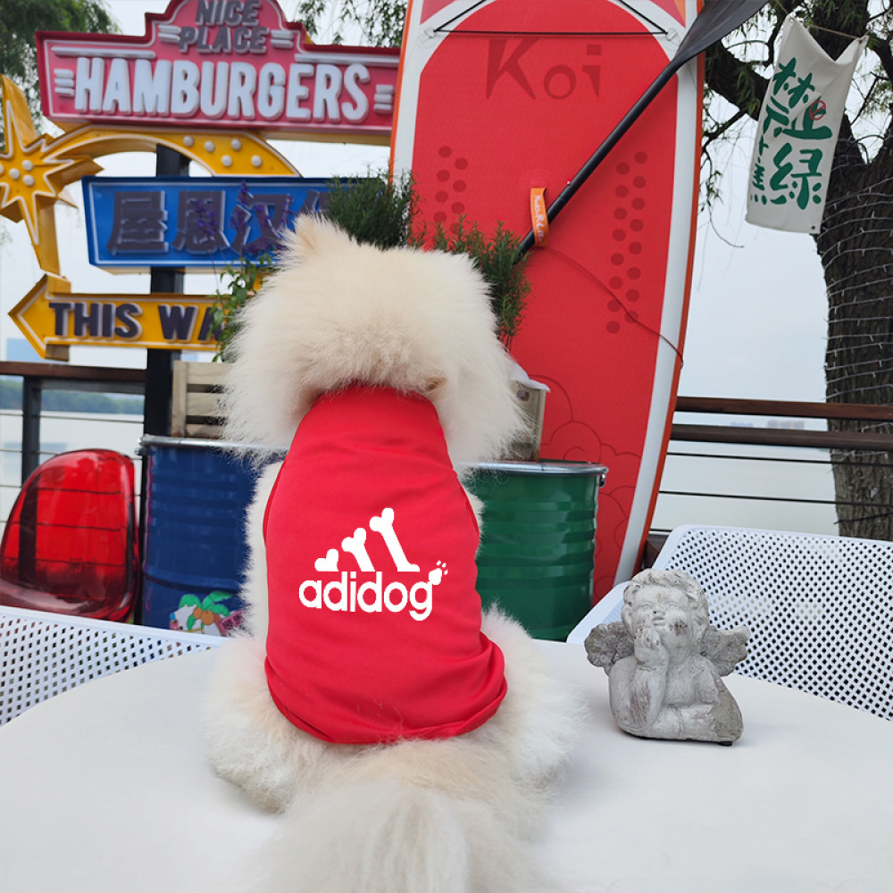✨ Hàng Mới Về ✨ S-2XL Áo vest in xương mèo và chó cưng mùa xuân hè thoáng khí và thoải mái cho chó nhỏ và vừa