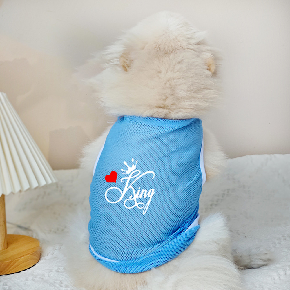✨ Hàng Mới Về ✨ S-2XL King and Queen Cat / Dog Lưới thoáng khí Áo cho chó nhỏ