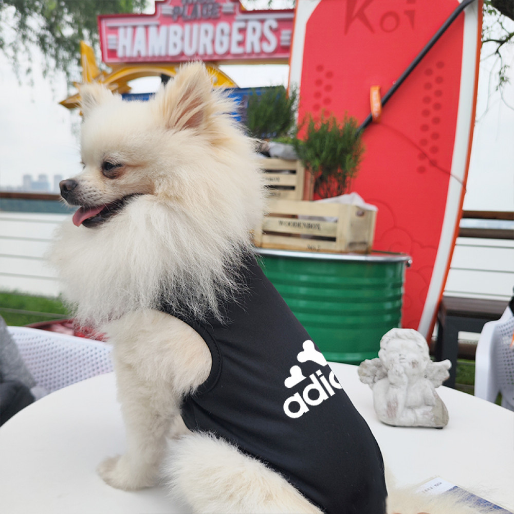 ✨ Hàng Mới Về ✨ S-2XL Áo vest in xương mèo và chó cưng mùa xuân hè thoáng khí và thoải mái cho chó nhỏ và vừa