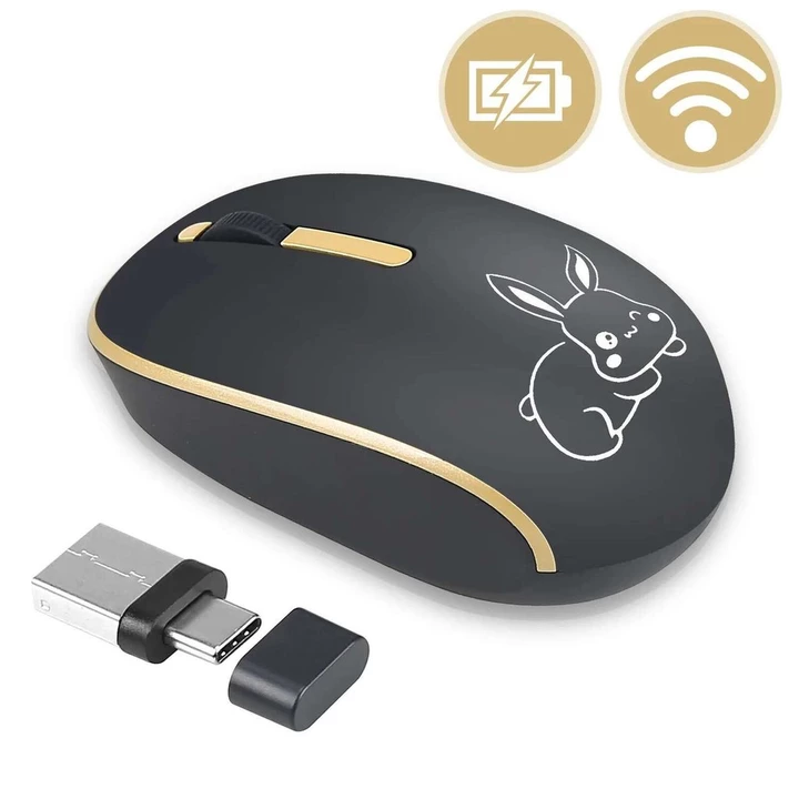Wireless Mouse C-1200DPI – USB-C